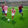 SAM_2068